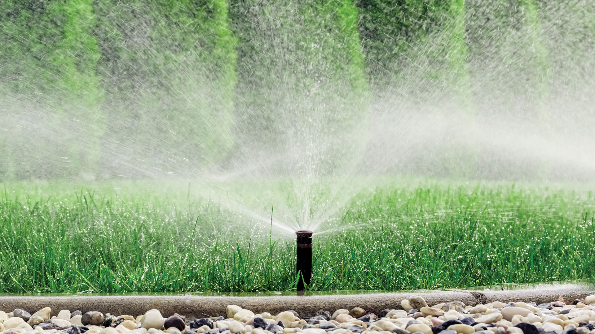Boss & Hoss irrigation and outdoor lighting project in Calgary